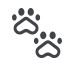 dog walking