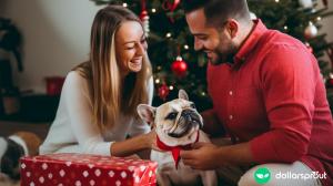 A husband giving his wife a French bulldog for Christmas.