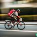 A guy zooming down the street on his bike, delivering DoorDash food.
