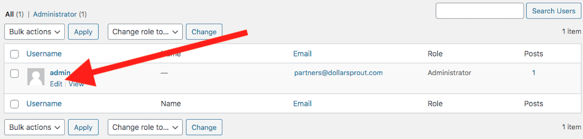 WordPress edit user